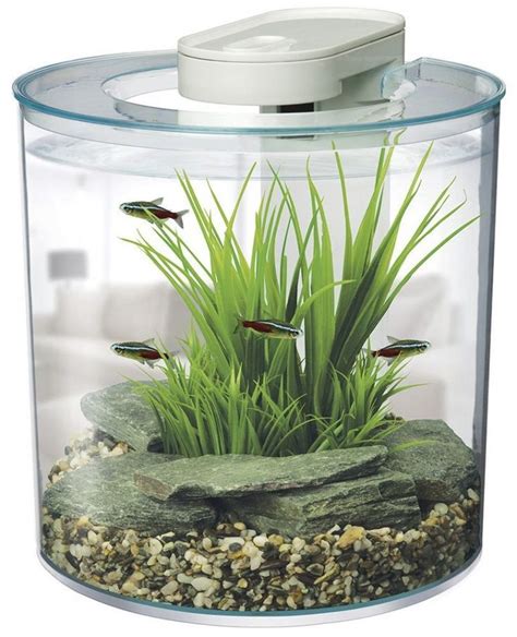 Best Betta Fish Tanks - Best Home For Your Betta | Small fish tanks ...