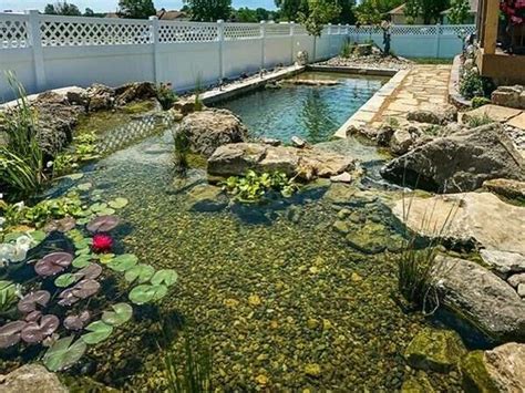 Why You’ll Love Natural Swimming Ponds Over A Swimming Pool