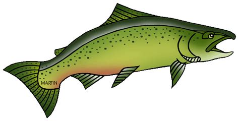 Free Cute Salmon Cliparts, Download Free Cute Salmon Cliparts png ...