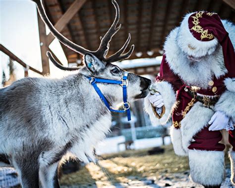 Antler Academy | Santa Claus House - North Pole, Alaska