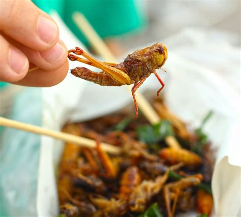 10 Best Edible Insects We Dare You To Try - Farmers' Almanac - Plan ...