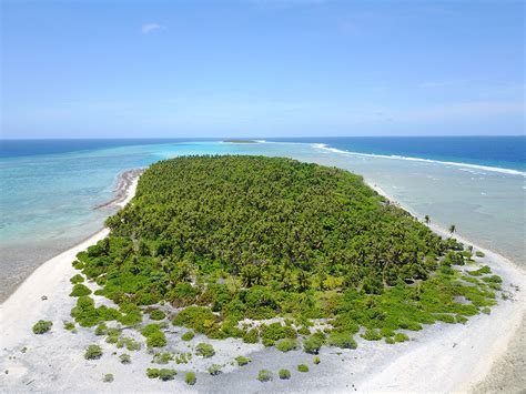 Island Conservation US Department of the Interior Funds Counter ...