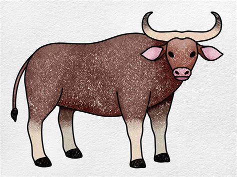 How to Draw an Ox - HelloArtsy