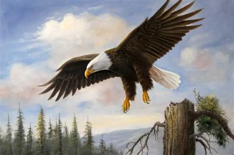 American Bald Eagle Mountain Flying Large Oil Painting-in Painting ...