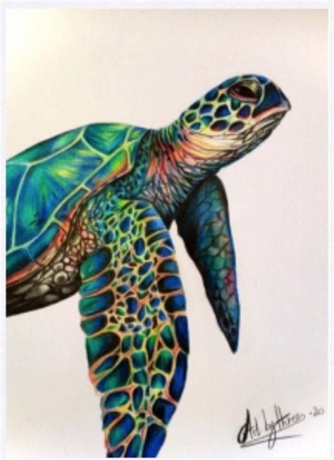 SEA TURTLE CARD Colourful Turtle Jade Turtle Drawing Sea - Etsy Canada ...