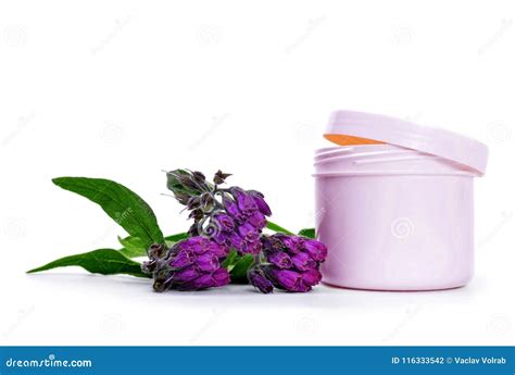 Comfrey Cream with Fresh Symphytum Officinale Plant Stock Photo - Image ...