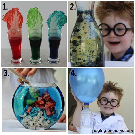 20+ Home Science Projects for Kids | Science projects for kids, Cool ...