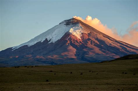 All you need to know about Cotopaxi National Park – Wanderbus Ecuador