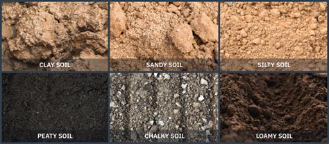 Types Of Soil Chart