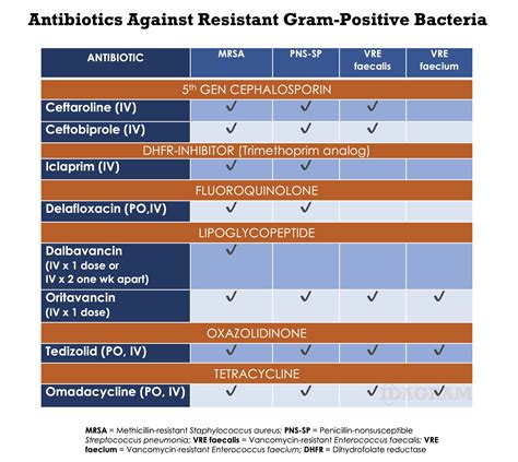 Gram Positive Antibiotic Chart