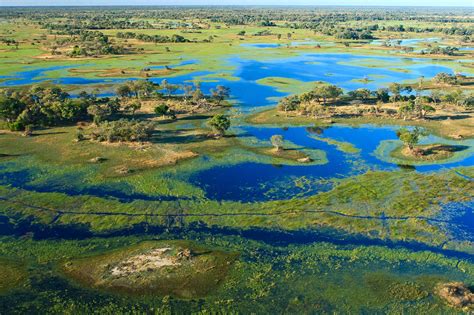 A Big Oil project in Africa threatens fragile Okavango region | Grist