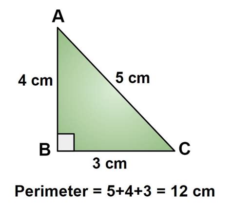 Perimeter of right-angled triangle - DewWool