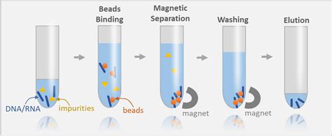 Magnetic Beads (DNA Purification) - SPRI Beads Replacement