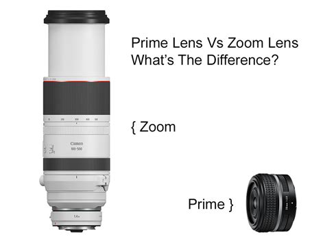 Prime Lens vs Zoom Lens: What’s the Difference? | Park Cameras