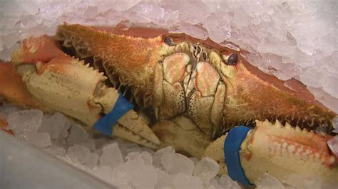 Alaska snow crab season canceled for first time | wltx.com