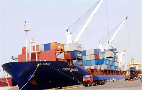 Indian Ports Association: Cargo traffic handled at Indian ports up 11.5 ...