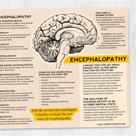 What is Encephalopathy? – Adult and pediatric printable resources for ...