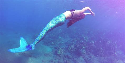 Mermaid Swimming Lessons On Maui - Hawaii Mermaid Adventures