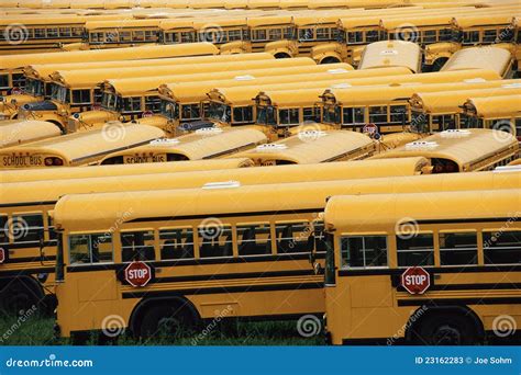 Yellow school buses editorial stock photo. Image of yard - 23162283