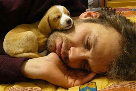 21 Touching Photos of Relationship between Dogs and Humans | Sleeping ...