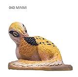 Minmi Dinosaur Facts - information about the dinosaur minmi