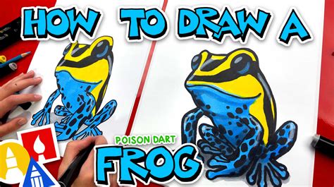 How to Draw a Poison Dart Frog: Step-by-Step Art Lesson