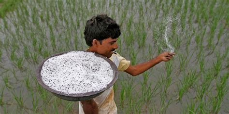 Ground Report: What Farmers Had to Say About Modi Govt's Income Support ...