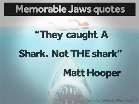 Jaws Quotes. QuotesGram