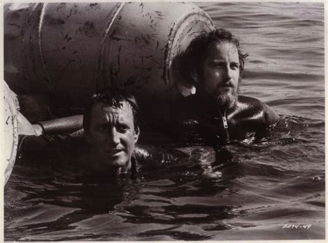 Image of Jaws (1975)