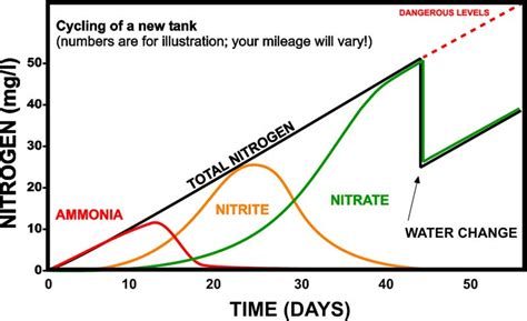 beneficial bacteria for aquarium