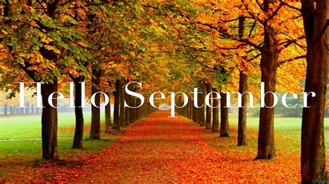 Hello September Word In Colorful Autumn Fall Trees Background HD ...