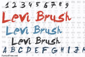 Levi Brush Font | Brush font, Brush, Fonts