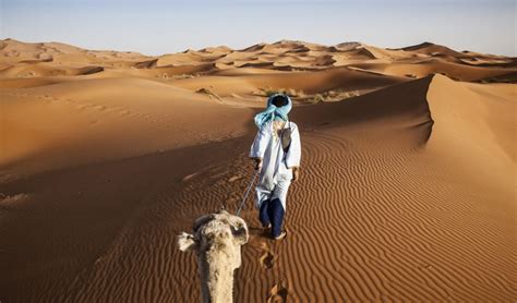 Impacted by climate change, the Sahara Desert is getting bigger • Earth.com