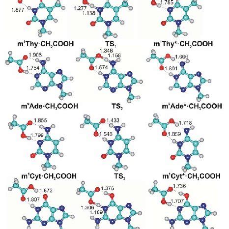 Spatial structures of complexes of DNA bases tautomers with acetic acid ...