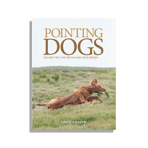 Pointing Dogs, Volume Two: The British and Irish Breeds - Project Upland