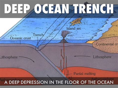 Deep Sea Trench Definition : Trench Definition Earth Science - The ...