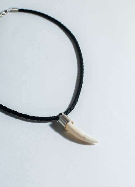 Plain Crocodile Tooth Necklace – Crocodile Darwin