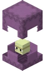 Shulker – Oficjalna Minecraft Wiki Polska