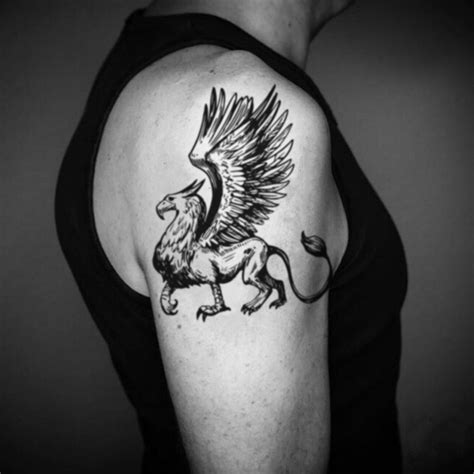 Griffin Gryphon Temporary Tattoo Sticker - OhMyTat