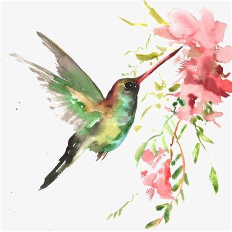 Watercolor Bird PNG Transparent, Watercolor Bird, Bird Clipart ...