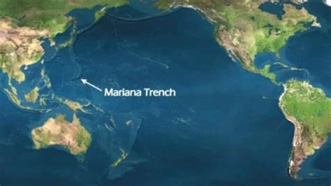 Five things you might encounter on your visit to the Mariana Trench ...