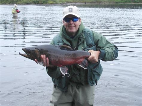 Landlocked Arctic Char - Minipi Lodges