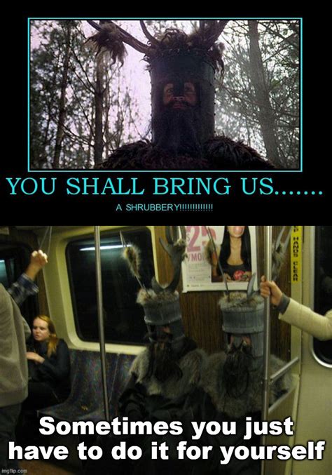 monty python and the holy grail Memes & GIFs - Imgflip