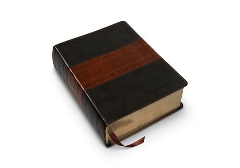 ESV Study Bible, Large Print (TruTone, Forest/Tan, Trail Design ...