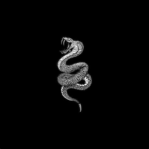 Share 60+ black snake wallpaper latest - in.cdgdbentre