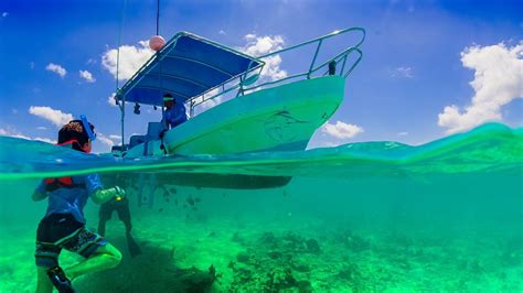 🤿 The 7 Best Puerto Rico Snorkeling Tours [2024 Reviews] | World Guides ...