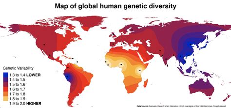 [OC] Human genetic diversity is highest in Africa : r/dataisbeautiful