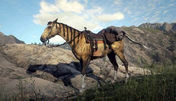 Turkoman | Red Dead Wiki | Fandom