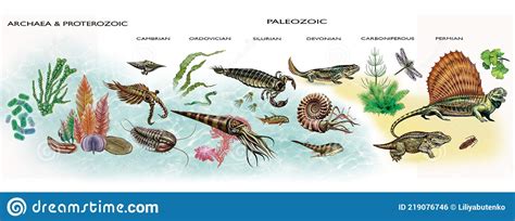 Proterozoic Cartoons, Illustrations & Vector Stock Images - 11 Pictures ...