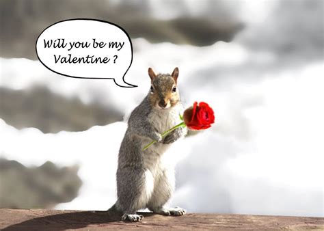 Valentine's Day Card Will You Be My Valentine Squirrel - Etsy ...